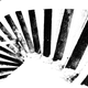Illustration for article titled Wednesday Pictures